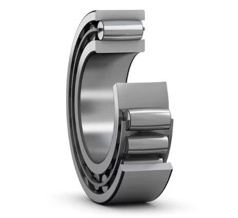 C 2316-CARB toroidal rulman