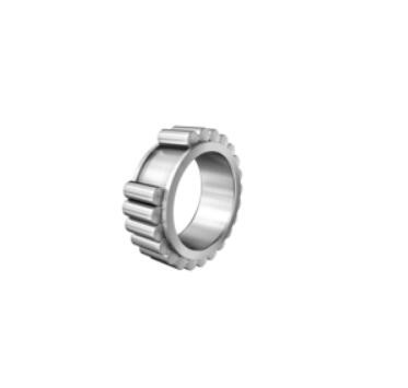 RSL183004-A-XL-2S-silindrsimon rulman